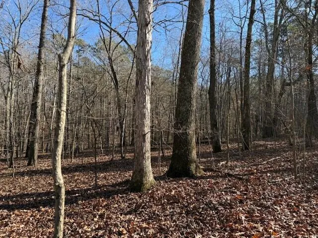 1 County Road 751 Valley Head, AL 35989