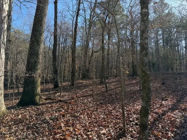 1 County Road 751 Valley Head, AL 35989