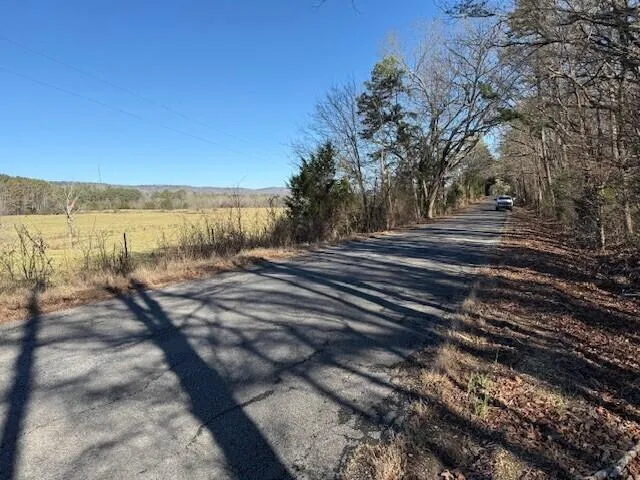 1 County Road 751 Valley Head, AL 35989
