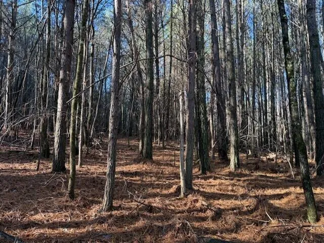 7 Hwy 11 Valley Head, AL 35989