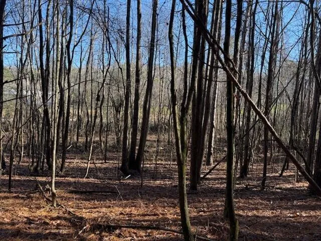 7 Hwy 11 Valley Head, AL 35989