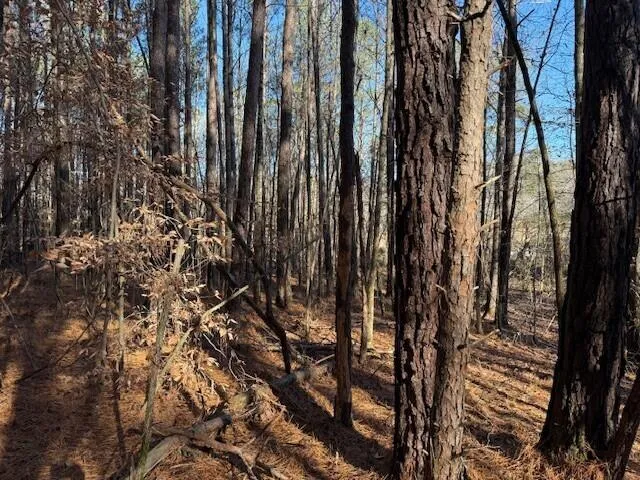 7 Hwy 11 Valley Head, AL 35989
