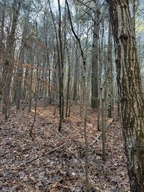 7 Hwy 11 Valley Head, AL 35989