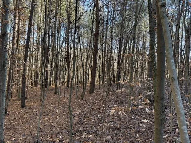 7 Hwy 11 Valley Head, AL 35989