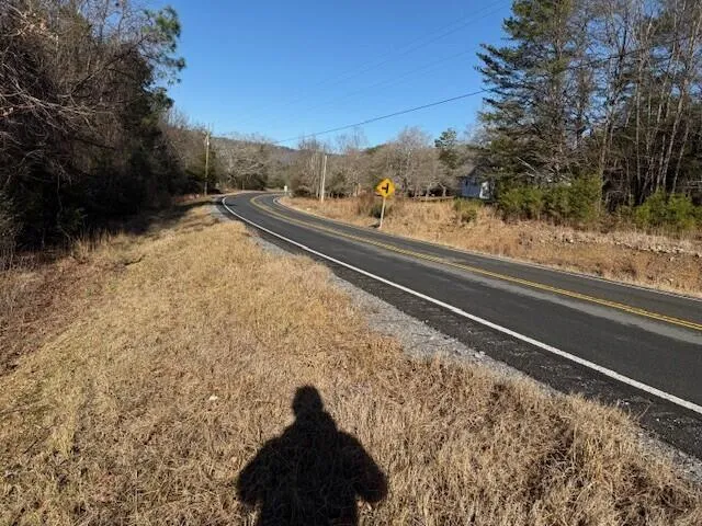 7 Hwy 11 Valley Head, AL 35989