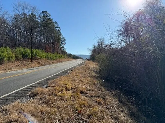 7 Hwy 11 Valley Head, AL 35989