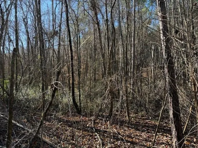 7 Hwy 11 Valley Head, AL 35989