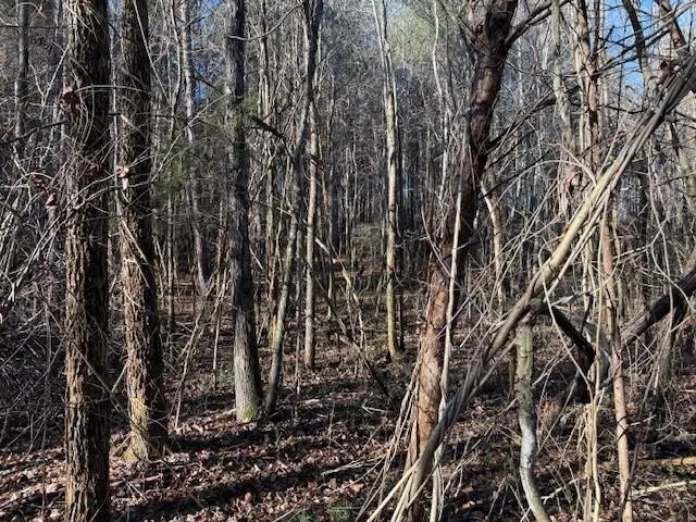 7 Hwy 11 Valley Head, AL 35989