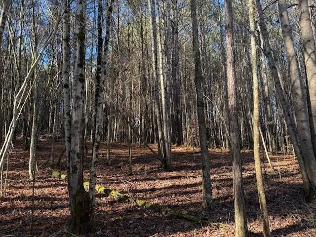7 Hwy 11 Valley Head, AL 35989