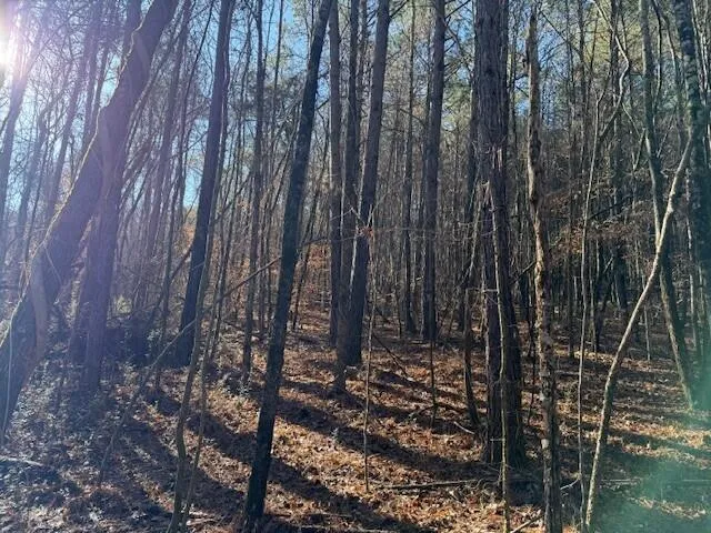 7 Hwy 11 Valley Head, AL 35989
