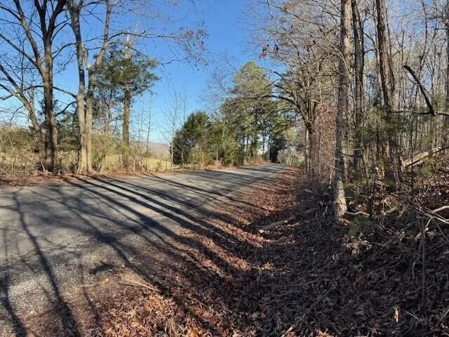 2 County Road 751 Valley Head, AL 35989