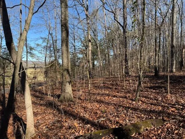 2 County Road 751 Valley Head, AL 35989