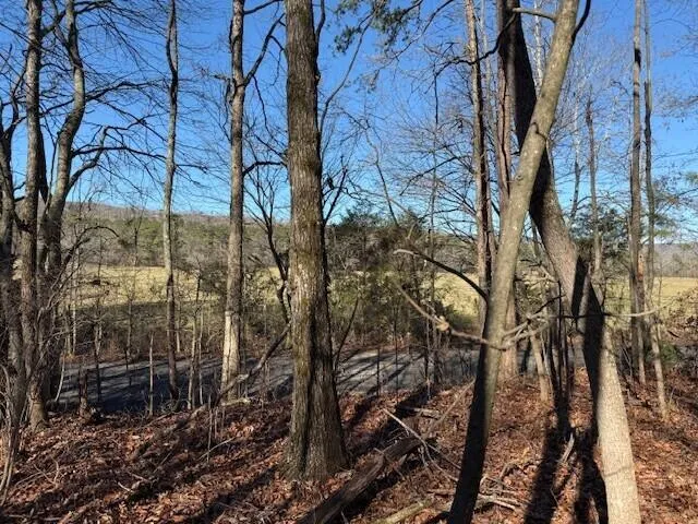 2 County Road 751 Valley Head, AL 35989