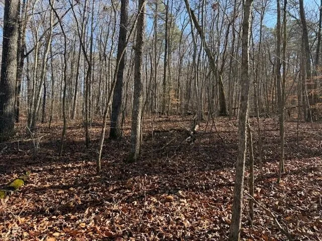 2 County Road 751 Valley Head, AL 35989