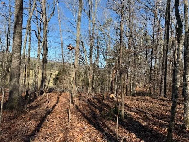 2 County Road 751 Valley Head, AL 35989