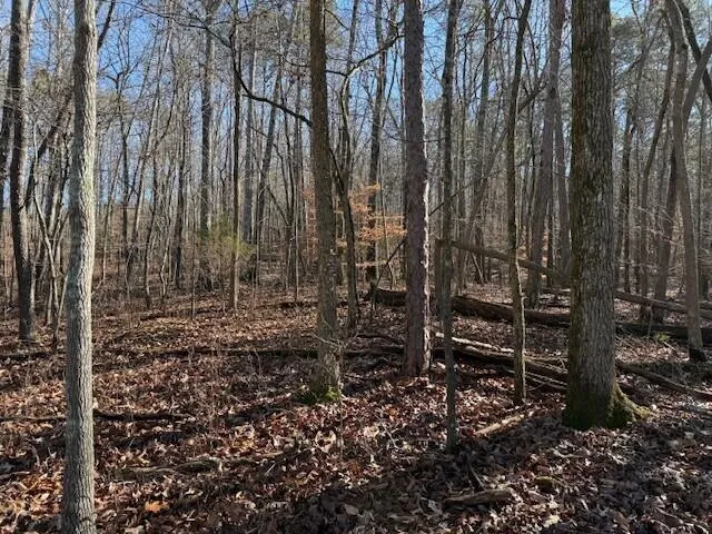 2 County Road 751 Valley Head, AL 35989