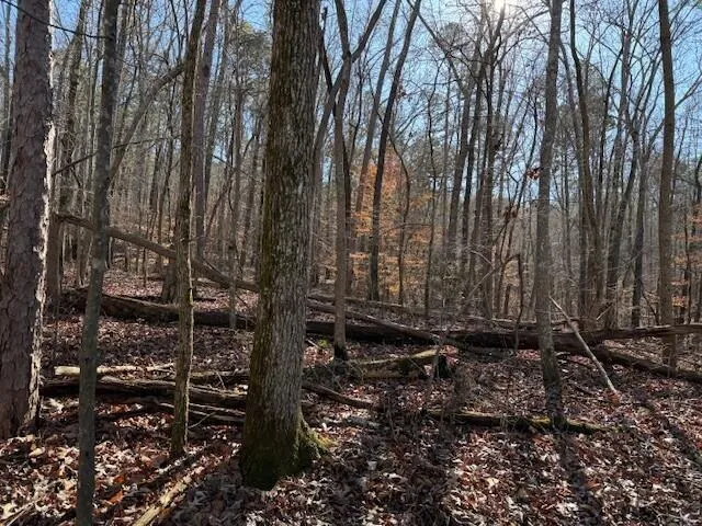 2 County Road 751 Valley Head, AL 35989