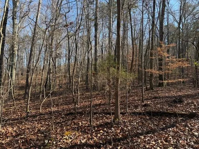 2 County Road 751 Valley Head, AL 35989