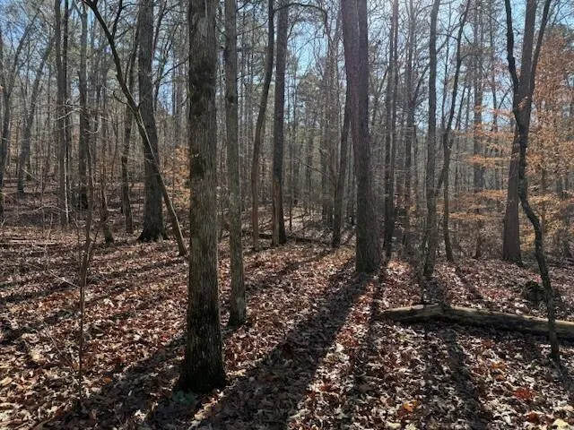 2 County Road 751 Valley Head, AL 35989