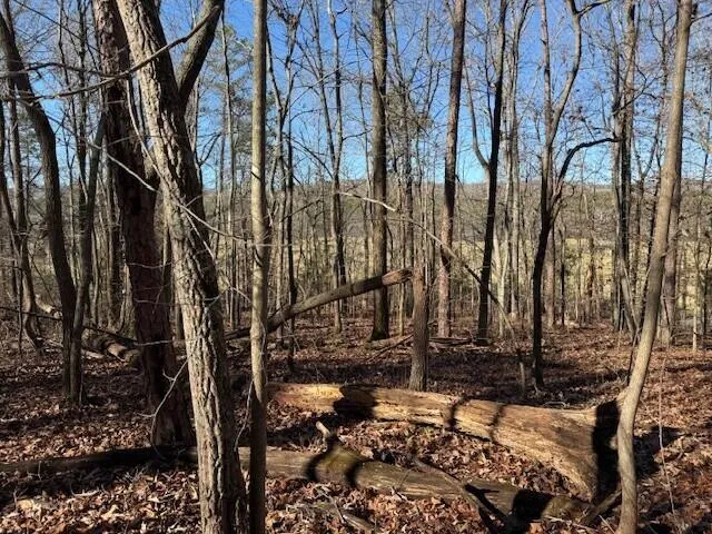 2 County Road 751 Valley Head, AL 35989