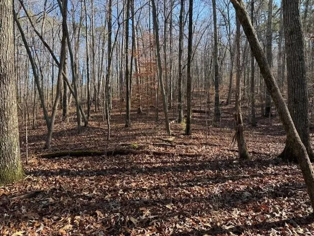 2 County Road 751 Valley Head, AL 35989