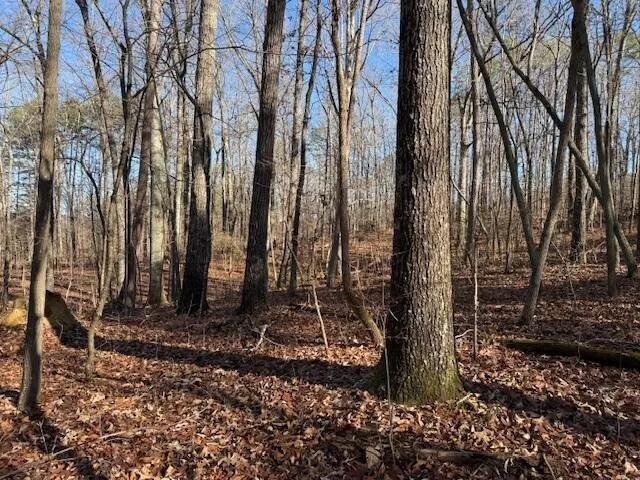 2 County Road 751 Valley Head, AL 35989