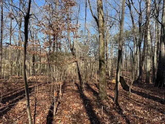 2 County Road 751 Valley Head, AL 35989