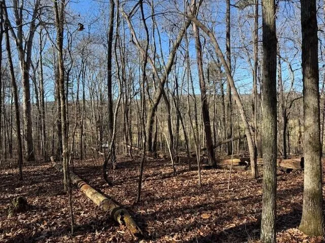 2 County Road 751 Valley Head, AL 35989