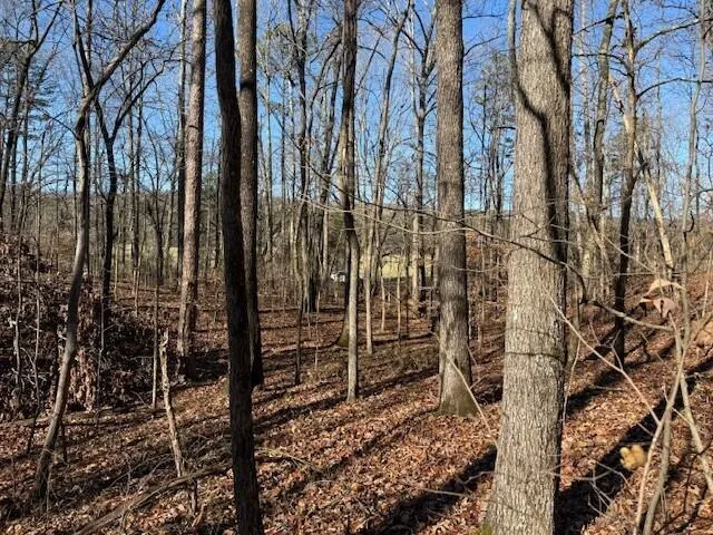 2 County Road 751 Valley Head, AL 35989