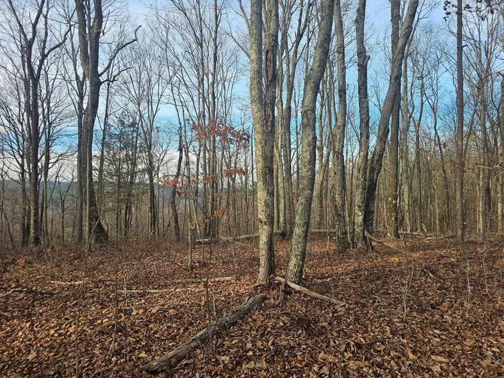 029003.0 Smith Mountain Dunlap, TN 37327
