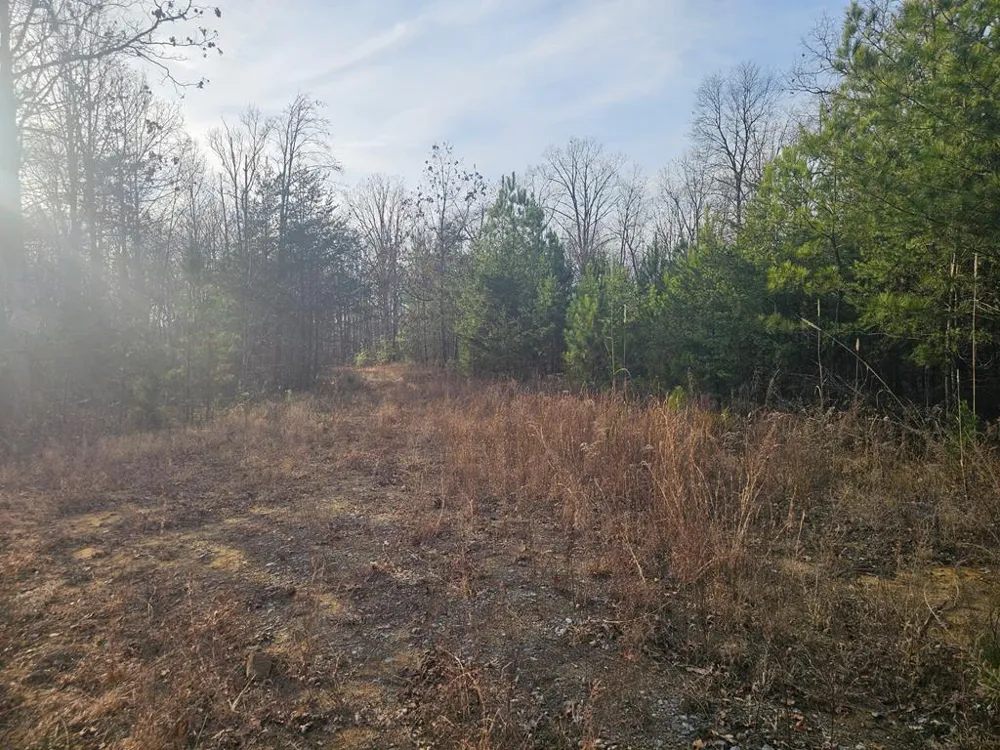 029003.0 Smith Mountain Dunlap, TN 37327