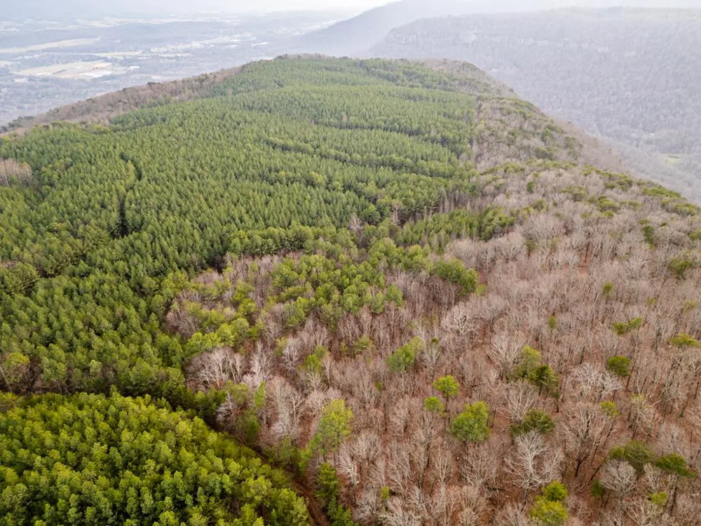 029003.0 Smith Mountain Dunlap, TN 37327