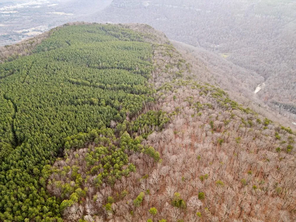 029003.0 Smith Mountain Dunlap, TN 37327