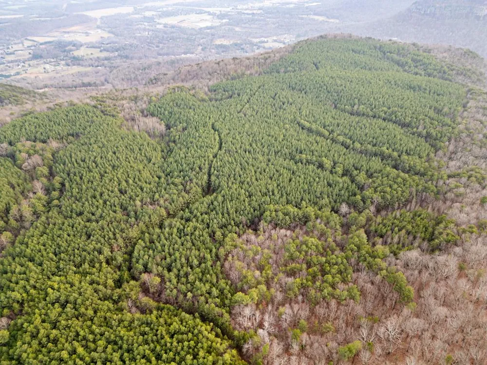 029003.0 Smith Mountain Dunlap, TN 37327