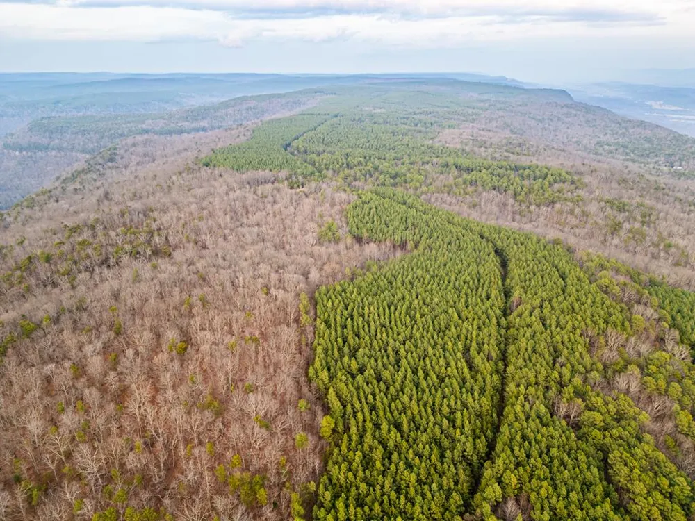029003.0 Smith Mountain Dunlap, TN 37327