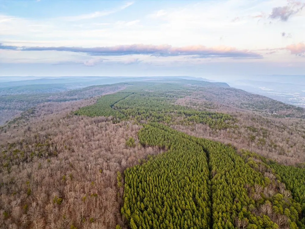 029003.0 Smith Mountain Dunlap, TN 37327