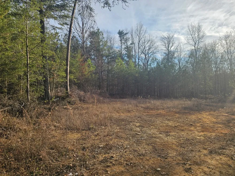 029003.0 Smith Mountain Dunlap, TN 37327