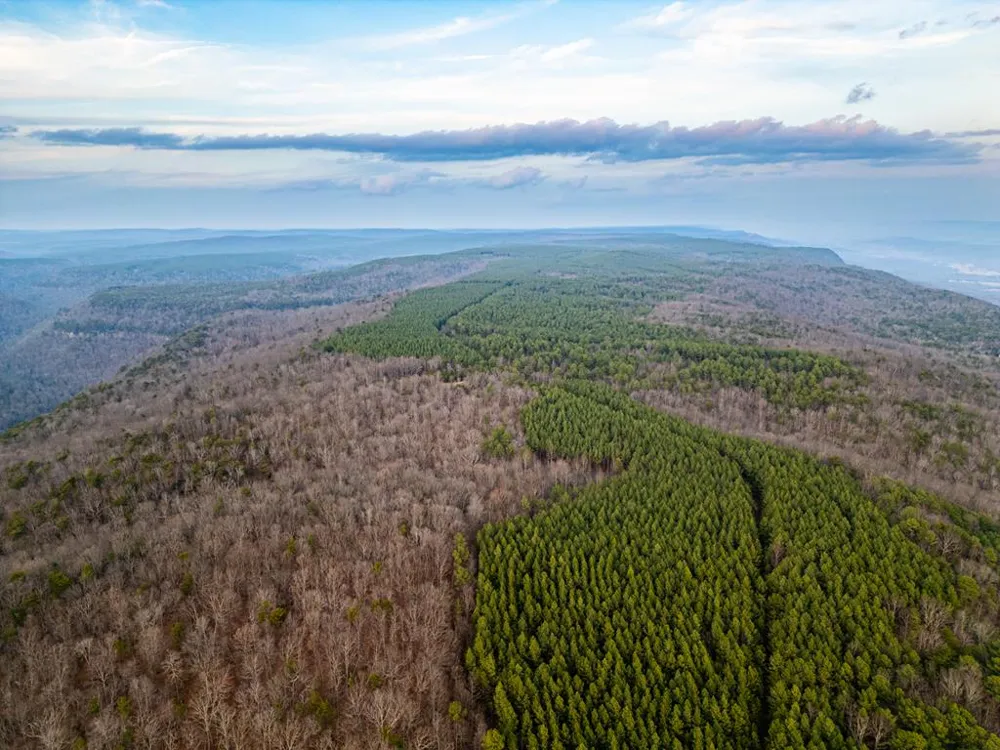 029003.0 Smith Mountain Dunlap, TN 37327