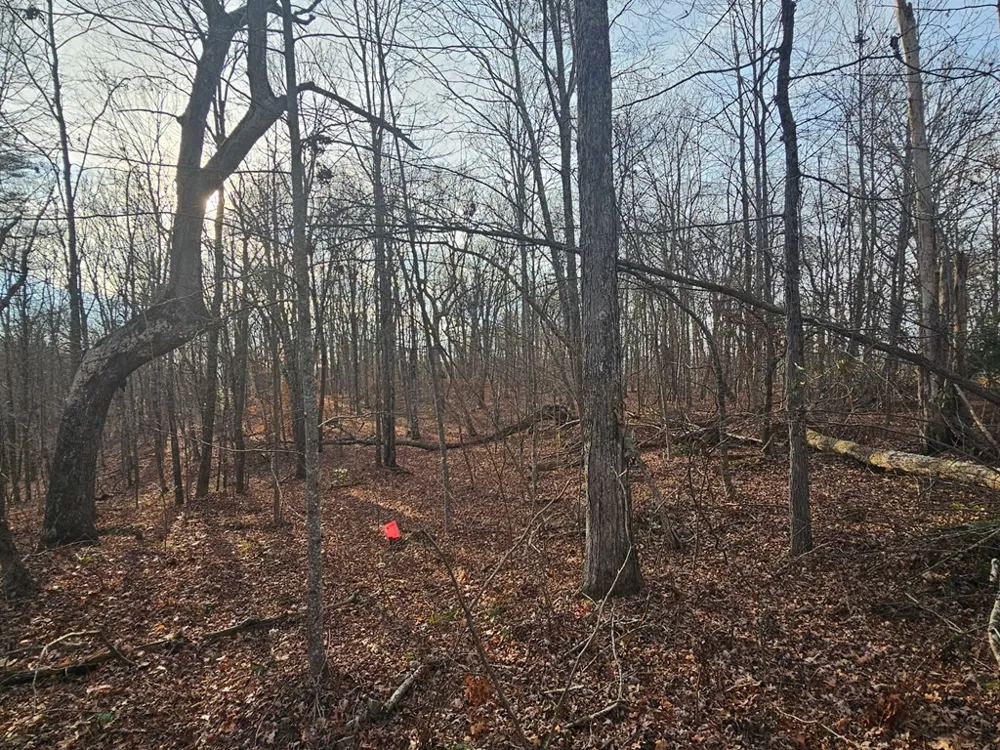 029003.0 Smith Mountain Dunlap, TN 37327