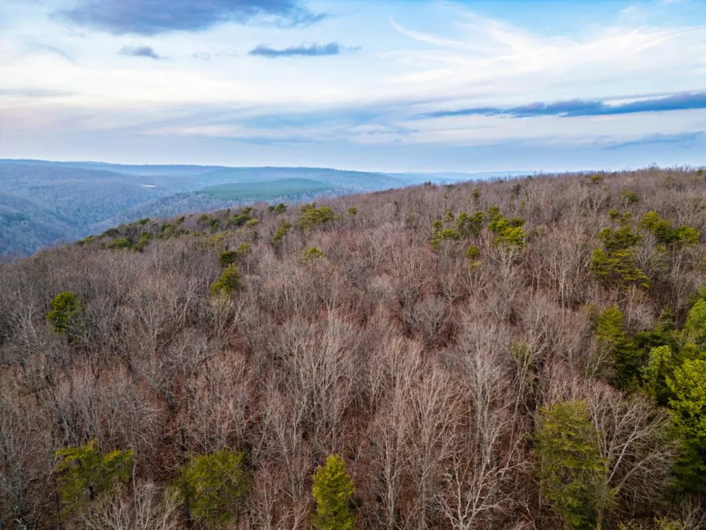 029003.0 Smith Mountain Dunlap, TN 37327