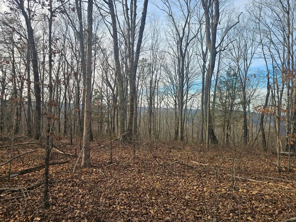029003.0 Smith Mountain Dunlap, TN 37327