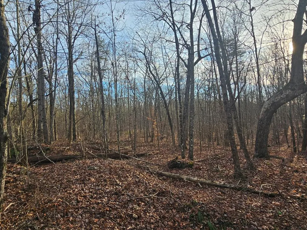 029003.0 Smith Mountain Dunlap, TN 37327
