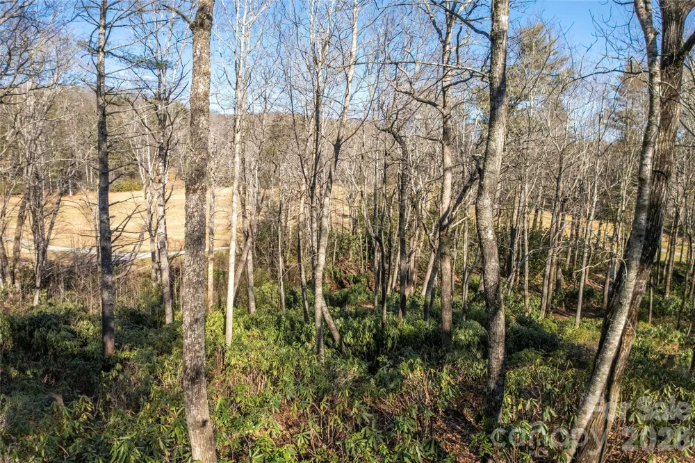 L 9A R Old Mine Point Lake Toxaway, NC 28747