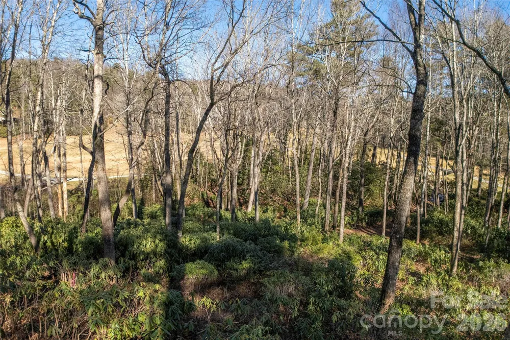L 9A R Old Mine Point Lake Toxaway, NC 28747