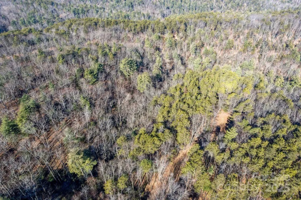 0 SASSAFRAS LANE Connelly Springs, NC 28612