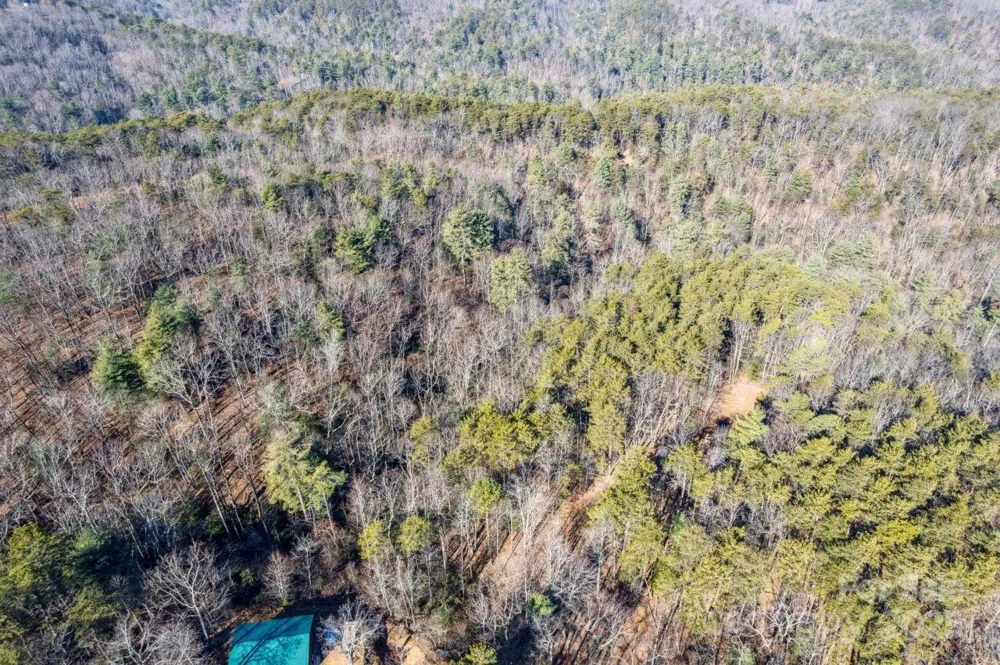 0 SASSAFRAS LANE Connelly Springs, NC 28612