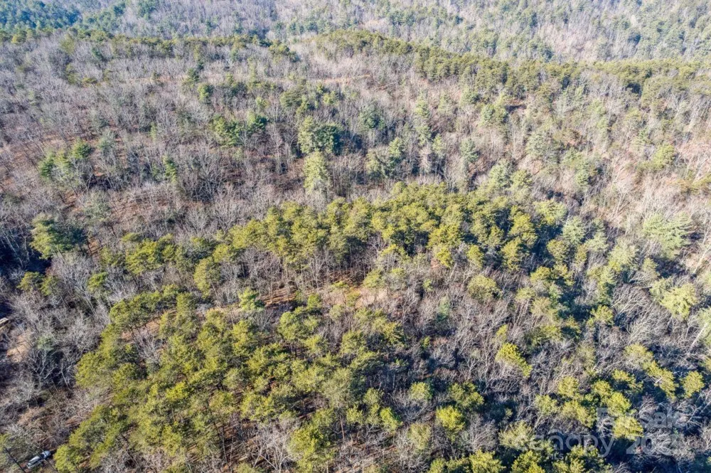 0 SASSAFRAS LANE Connelly Springs, NC 28612
