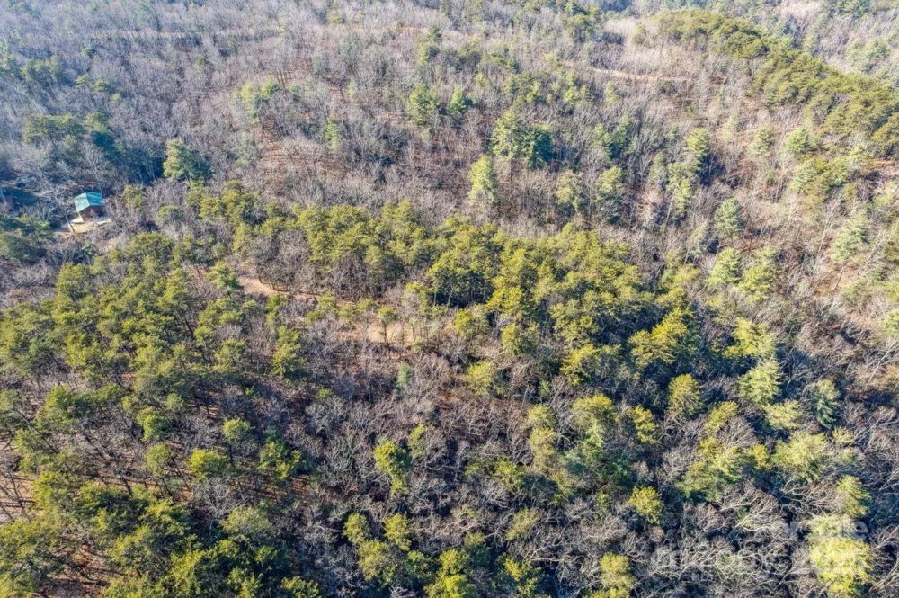 0 SASSAFRAS LANE Connelly Springs, NC 28612