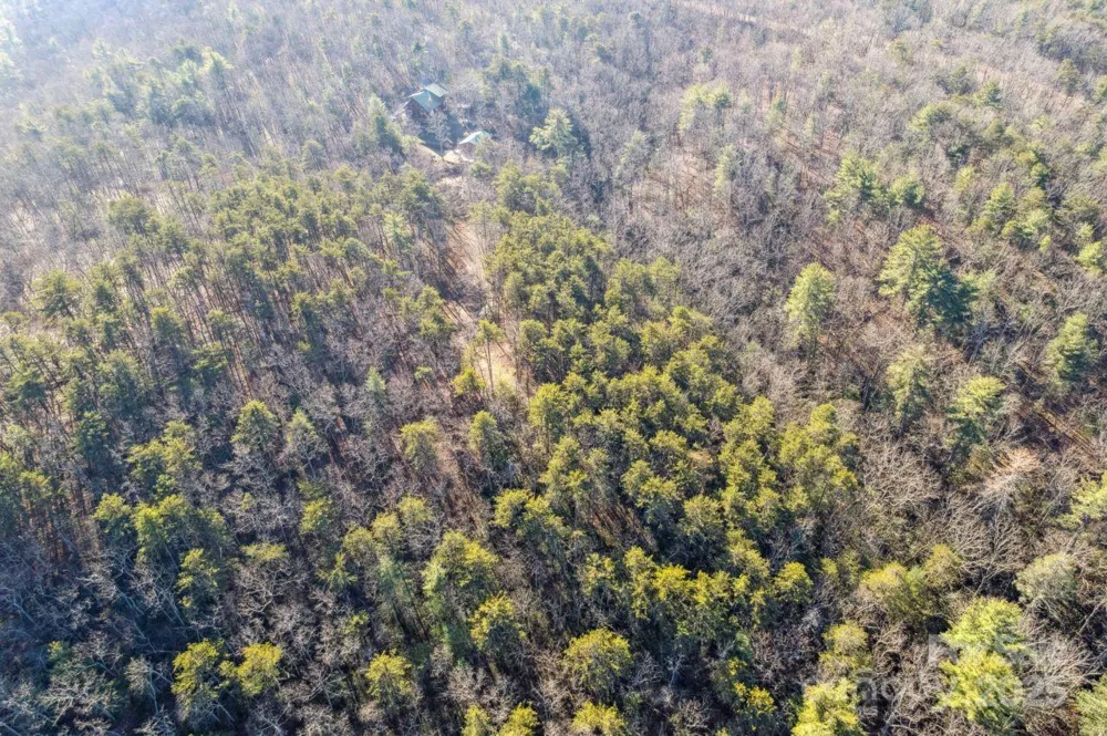 0 SASSAFRAS LANE Connelly Springs, NC 28612