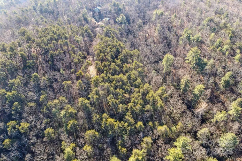 0 SASSAFRAS LANE Connelly Springs, NC 28612